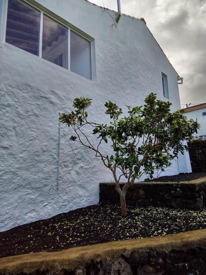 Casa Do Marcelino Lagarto Villa Sao Roque do Pico Ngoại thất bức ảnh