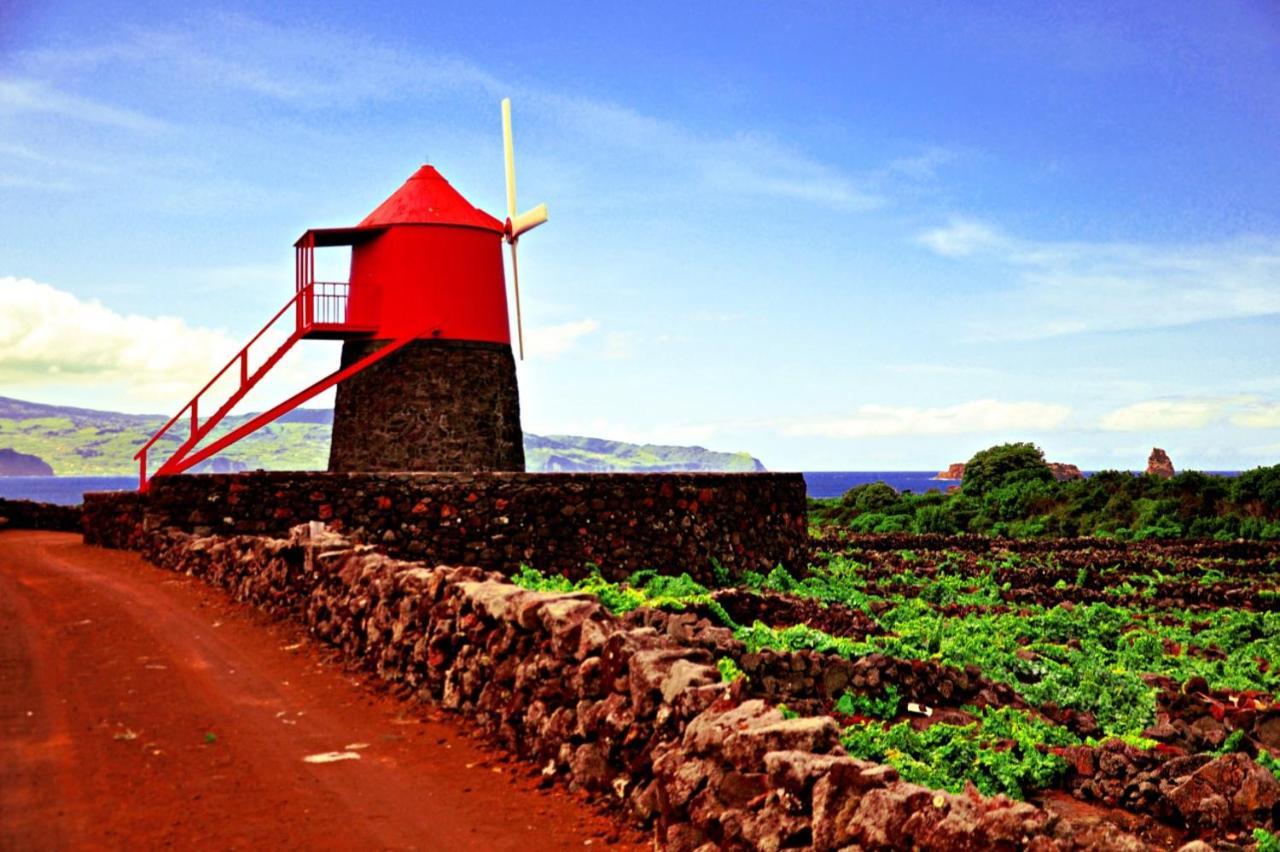 Casa Do Marcelino Lagarto Villa Sao Roque do Pico Ngoại thất bức ảnh